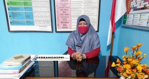 Kepala SDN 010 Tanjungpinang Timur, Nelfis