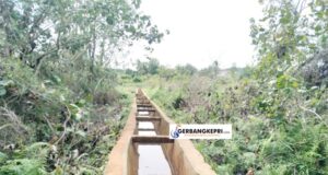 Lokasi pembangunan Waduk. (Foto GK.com / Nadya)