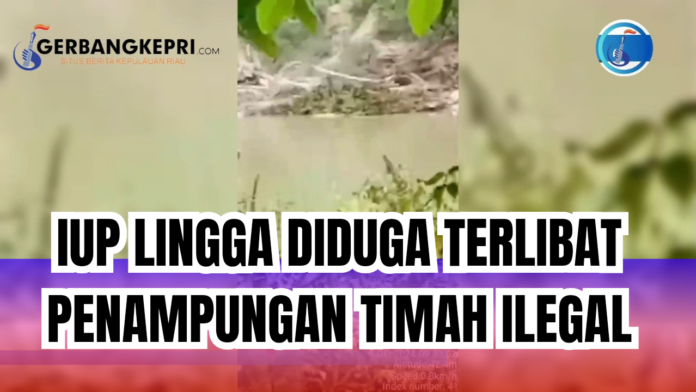 Merah Biru Fotosentris Kampanye Thumbnail Youtube_20241021_223404_0000