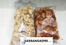 Beberapa Bisnis Rumahan Yang Jarang di Lirik, Namun Bisa Menarik Cuan